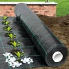 Agroszövet 2.1×25m | 100g/m²
