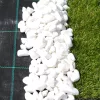Agroszövet 2.1×25m | 100g/m²