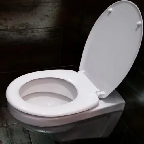 WC tető lávakő mintás | P-G