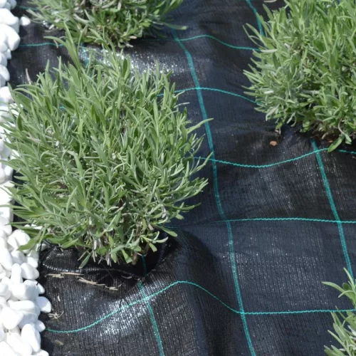 Agroszövet 1.05×25m | 100g/m²