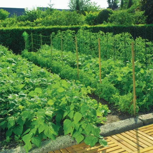 Uborkaháló 1.7×20m | #15×17cm