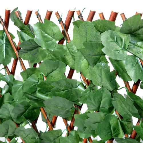 Apácarács | Borostyánleveles | 2m²