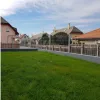 Apácarács | Borostyánleveles | 2m²