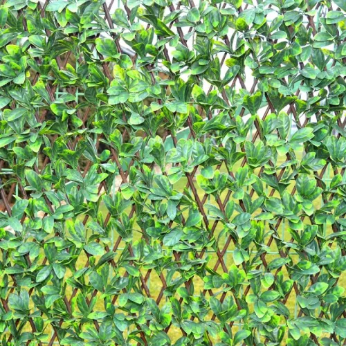 Apácarács | Babérleveles | 2m²