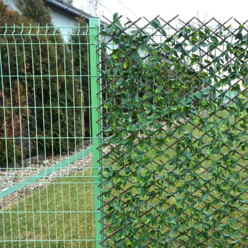 Apácarács | Babérleveles | 2m²