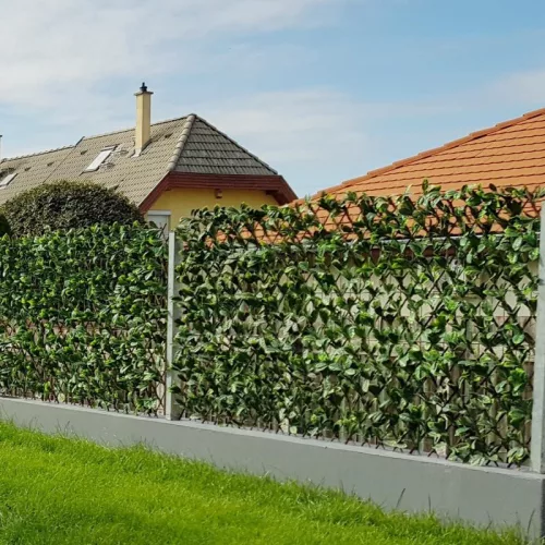 Apácarács | Babérleveles | 2m²