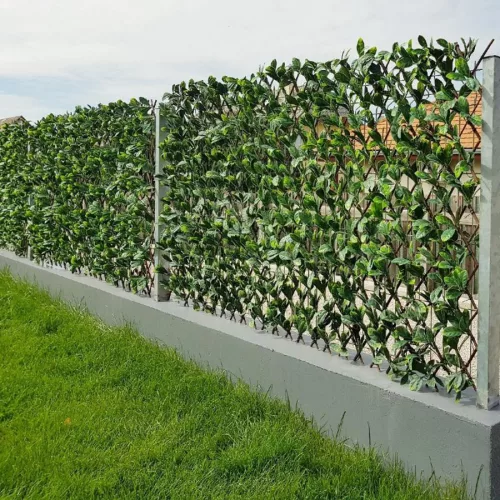 Apácarács | Babérleveles | 2m²