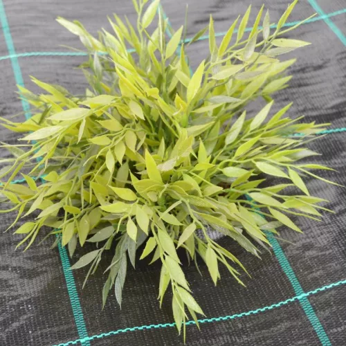 Agroszövet 1.65×25m | 100g/m²