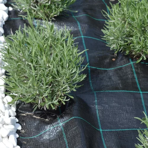 Agroszövet 1.65×25m | 100g/m²