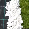 Agroszövet 1.65×25m | 100g/m²
