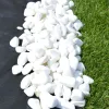 Geotextília 1×25m | 150g/m²