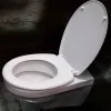 WC tető kagyló mintás | P-B