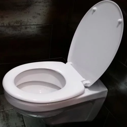 WC tető kagyló mintás | P-B