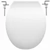 WC tető fehér | P10