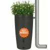 Esővízgyűjtő kaspó | Taupe | 240L